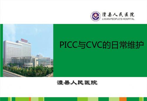 P I C C与 C V C的日常维护ppt课件