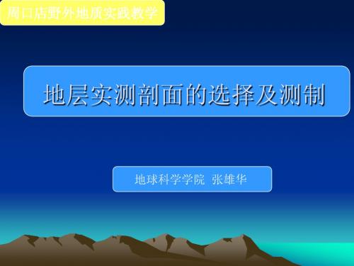 地层实测剖面的选择及测制