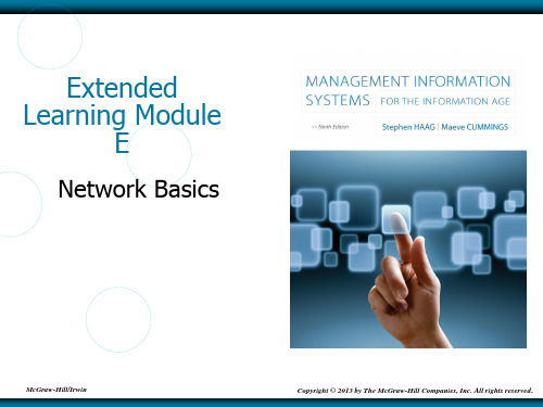 信息时代的管理系统_英文原版课件_Module_E