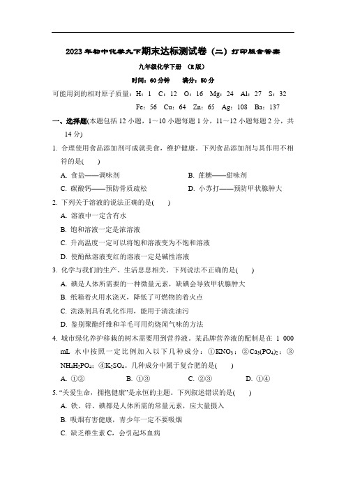 2023年初中化学九下期末达标测试卷(二)打印版含答案