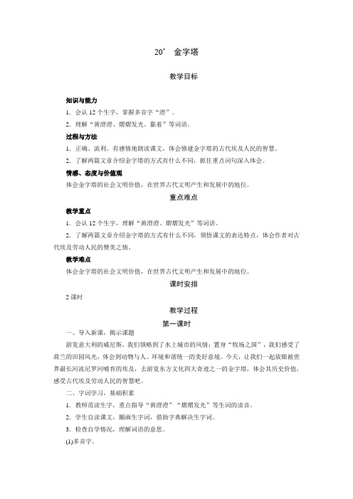 2020统编教材部编版五年级下册语文第五单元 第七单元20 金字塔   教案