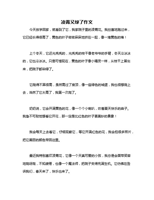 凌霄又绿了作文