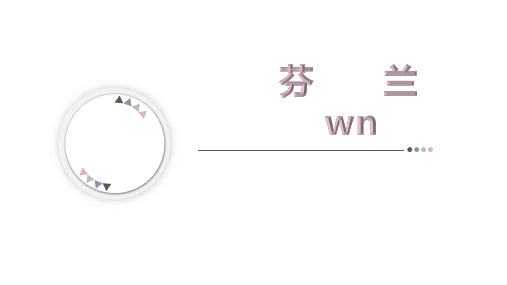 芬兰概览