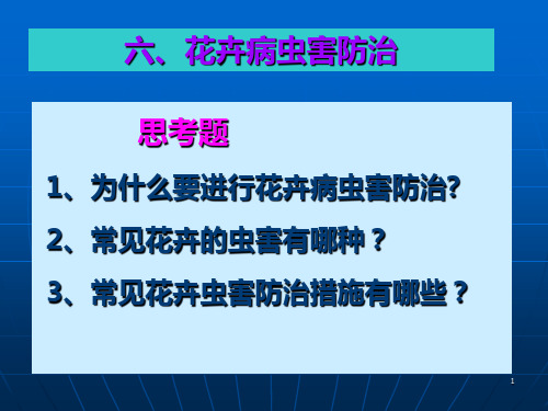 花卉病虫害防治PPT课件