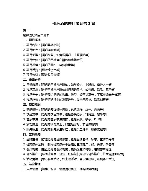 榆林酒吧项目策划书3篇