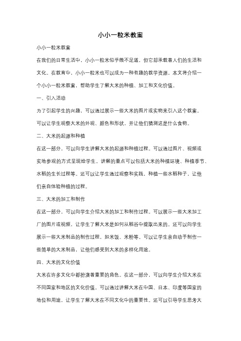 小小一粒米教案