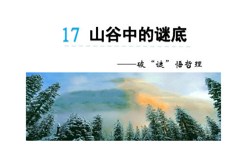 17.山谷中的谜底