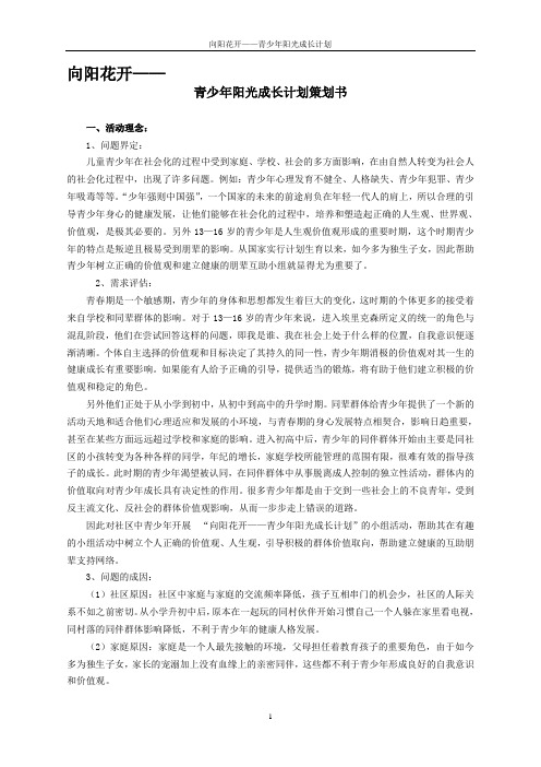 向阳花开——青少年阳光成长计划--社会工作企划书