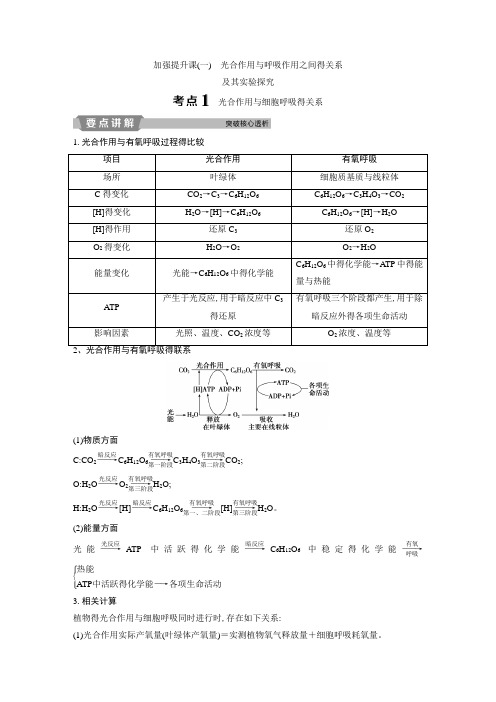 光合作用与呼吸作用之间的关系