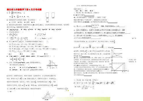 2022年湖北省九年级数学下册3月月考试题