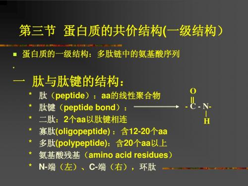 第三节蛋白质的共价结构