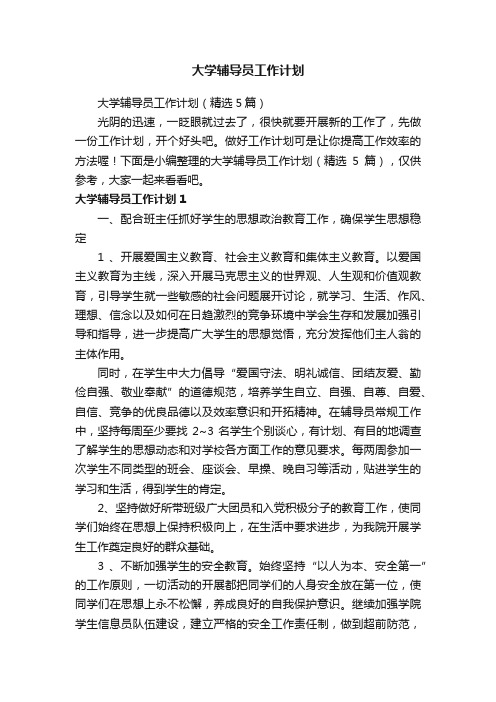 大学辅导员工作计划（精选5篇）