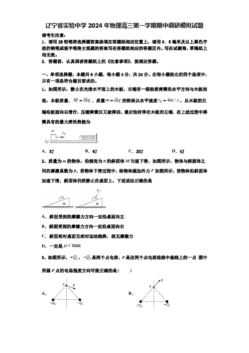 辽宁省实验中学2024年物理高三第一学期期中调研模拟试题含解析