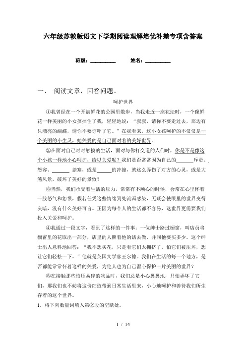 六年级苏教版语文下学期阅读理解培优补差专项含答案