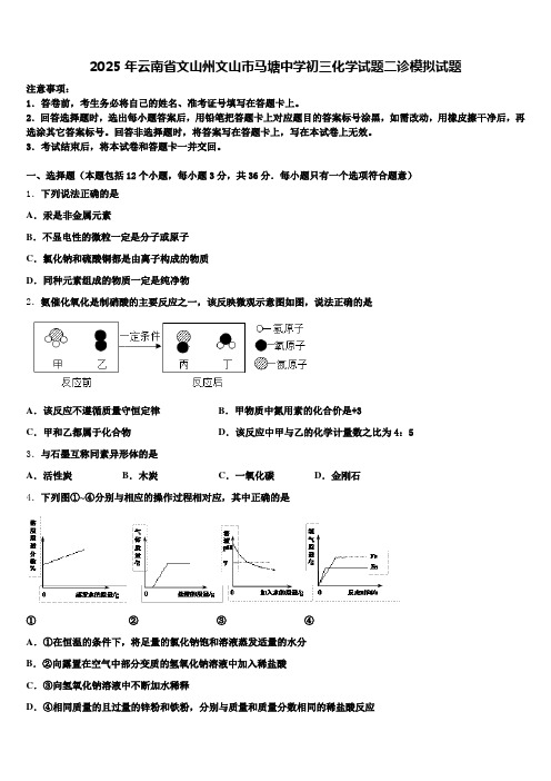 2025年云南省文山州文山市马塘中学初三化学试题二诊模拟试题含解析