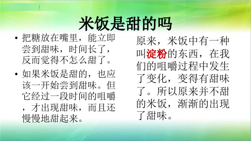 六年级下册科学课件2.3米饭淀粉和碘酒的变化教科版共14张PPT