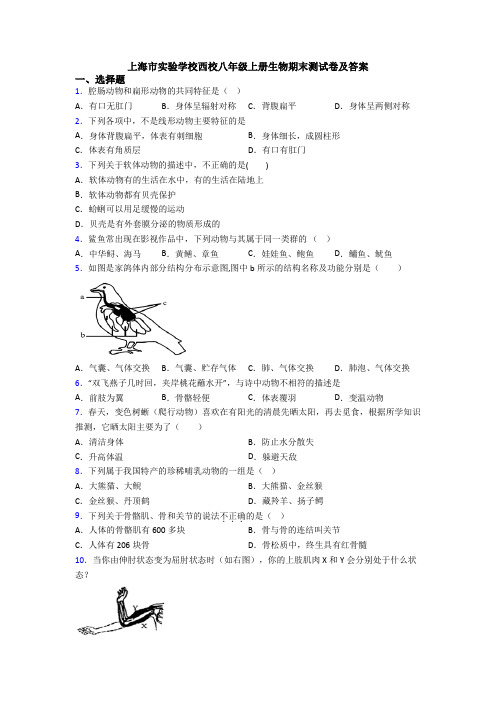 上海市实验学校西校八年级上册生物期末测试卷及答案