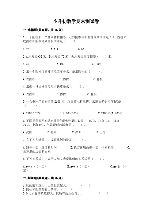 小升初数学期末测试卷及完整答案(名校卷)