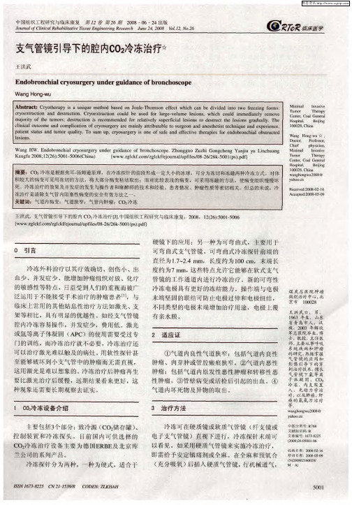 支气管镜引导下的腔内CO2冷冻治疗