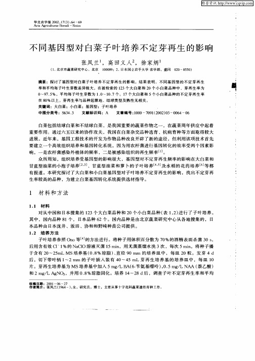 不同基因型对白菜子叶培养不定芽再生的影响