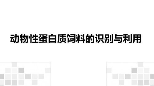 动物性蛋白质饲料的识别与利用课件(共29张PPT)《动物营养与饲料》