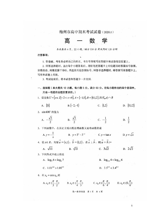 广东省梅州市2019_2020学年高一数学上学期期末考试试题(扫描版)