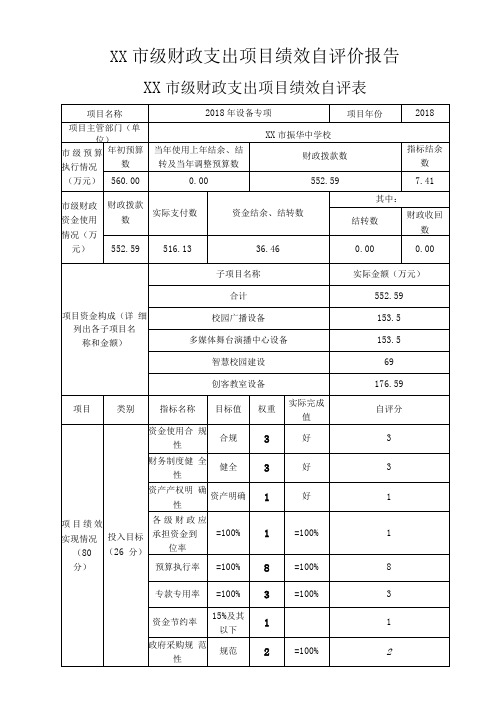 XX市级财政支出项目绩效自评价报告