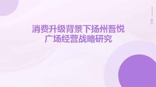 消费升级背景下扬州吾悦广场经营战略研究