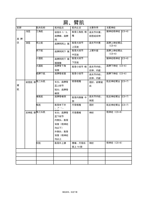 上肢肌肉分布、神经支配