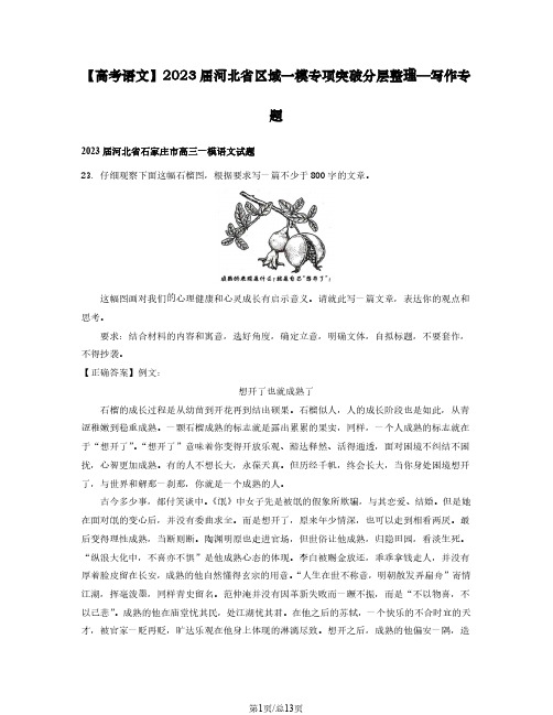 【高考语文】2023届河北省区域一模专项突破分层整理—写作专题(含解析)