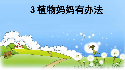 3 植物妈妈有办法 课件(共36张PPT)