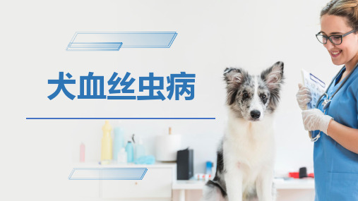 犬猫的寄生虫病(犬血丝虫病)-宠物医生课件