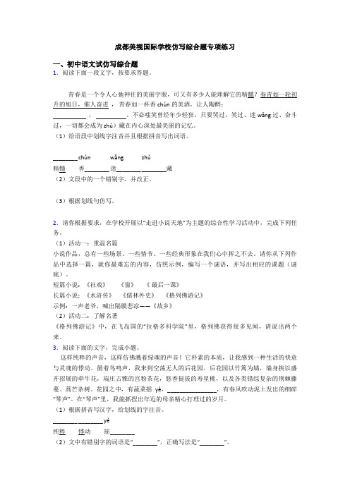 成都美视国际学校仿写综合题专项练习