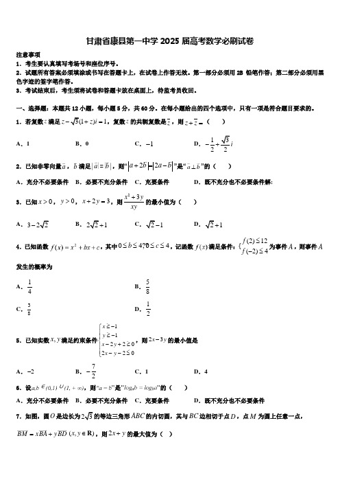 甘肃省康县第一中学2025届高考数学必刷试卷含解析