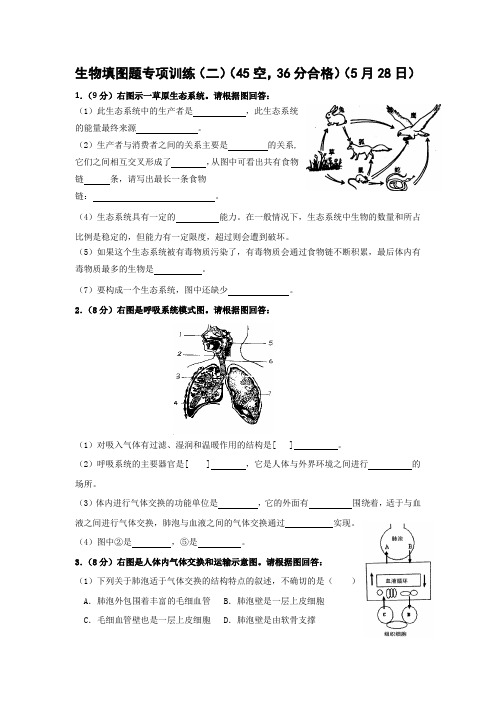 中考--生物填图题专项训练填--附答案