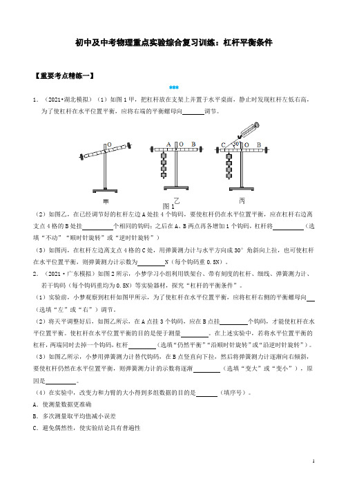 初中及中考物理重点实验综合复习训练：杠杆平衡条件(附答案)