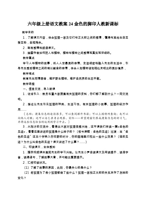 六年级上册语文教案24金色的脚印人教新课标