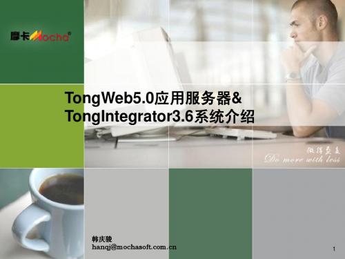 TongWeb5.0应用服务器-TongIntegrator3.6系统介绍