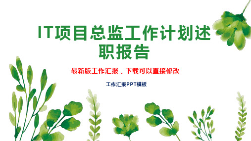 IT项目总监工作计划工作总结述职报告PPT模板下载