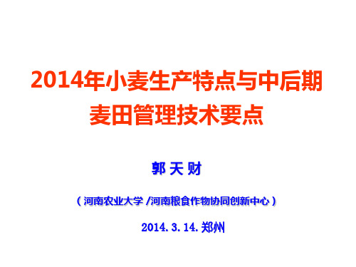 2014年小麦生产特点与中后期-河南农大郭天才