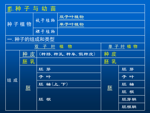 种子结构