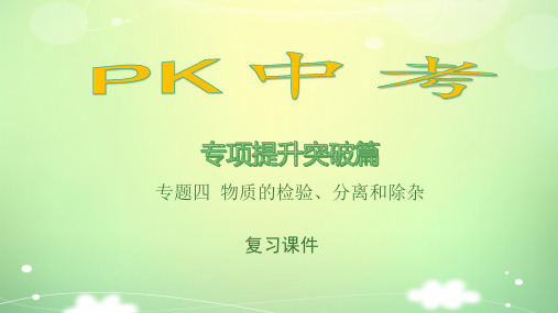 【PK中考】2017年中考化学(湖南专用)总复习课件：专题四+物质的检验、分离和除杂