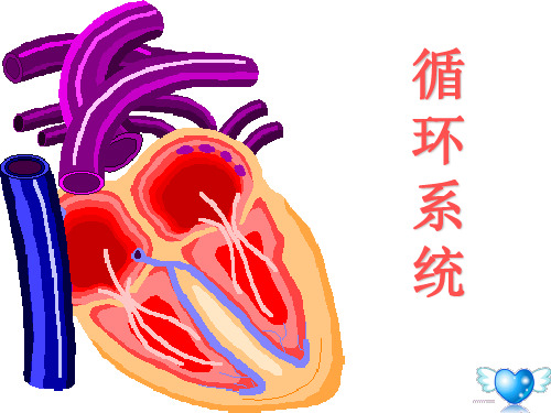 心血管内科总论课件