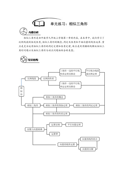 沪教版 九年级数学 暑假同步讲义  第9讲 相似三角形的章节复习(解析版)