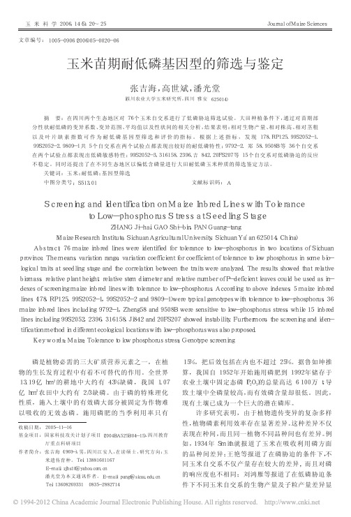 玉米苗期耐低磷基因型的筛选与鉴定