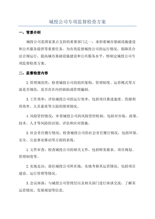 城投公司专项监督检查方案