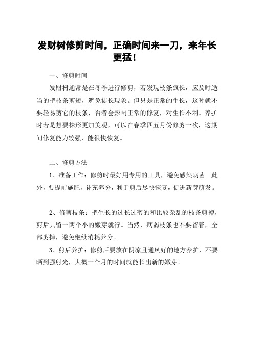 发财树修剪时间,正确时间来一刀,来年长更猛!