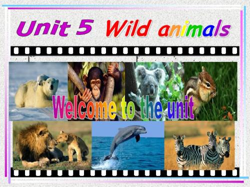 牛津译林版八年级上册Unit 5《Wild animals》(Welcome to the unit)课件
