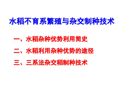 水稻不育系繁殖与杂交制种技术1