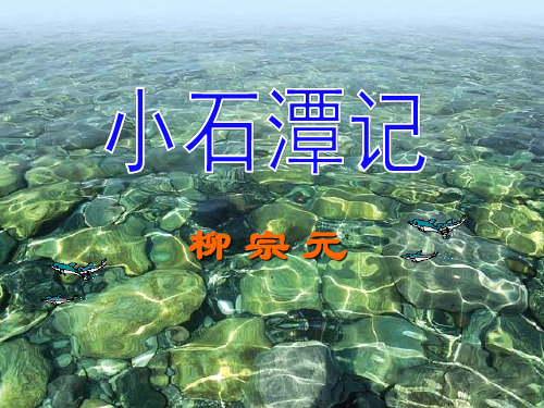 10.《小石潭记》课件(35张ppt)